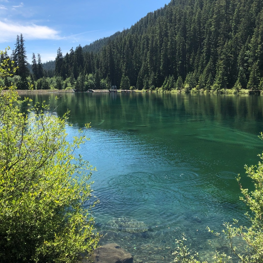 Meet your Posher, Noelle